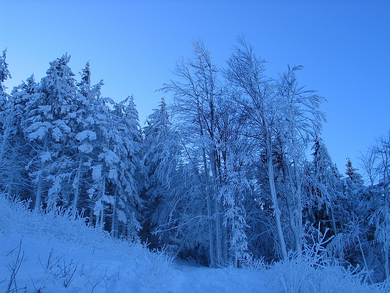 Krynica 2008 018